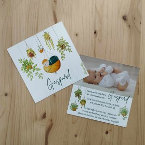 Faire part mixte illustré à l'aquarelle avec un bébé dans une panier et des plantes vertes suspendues