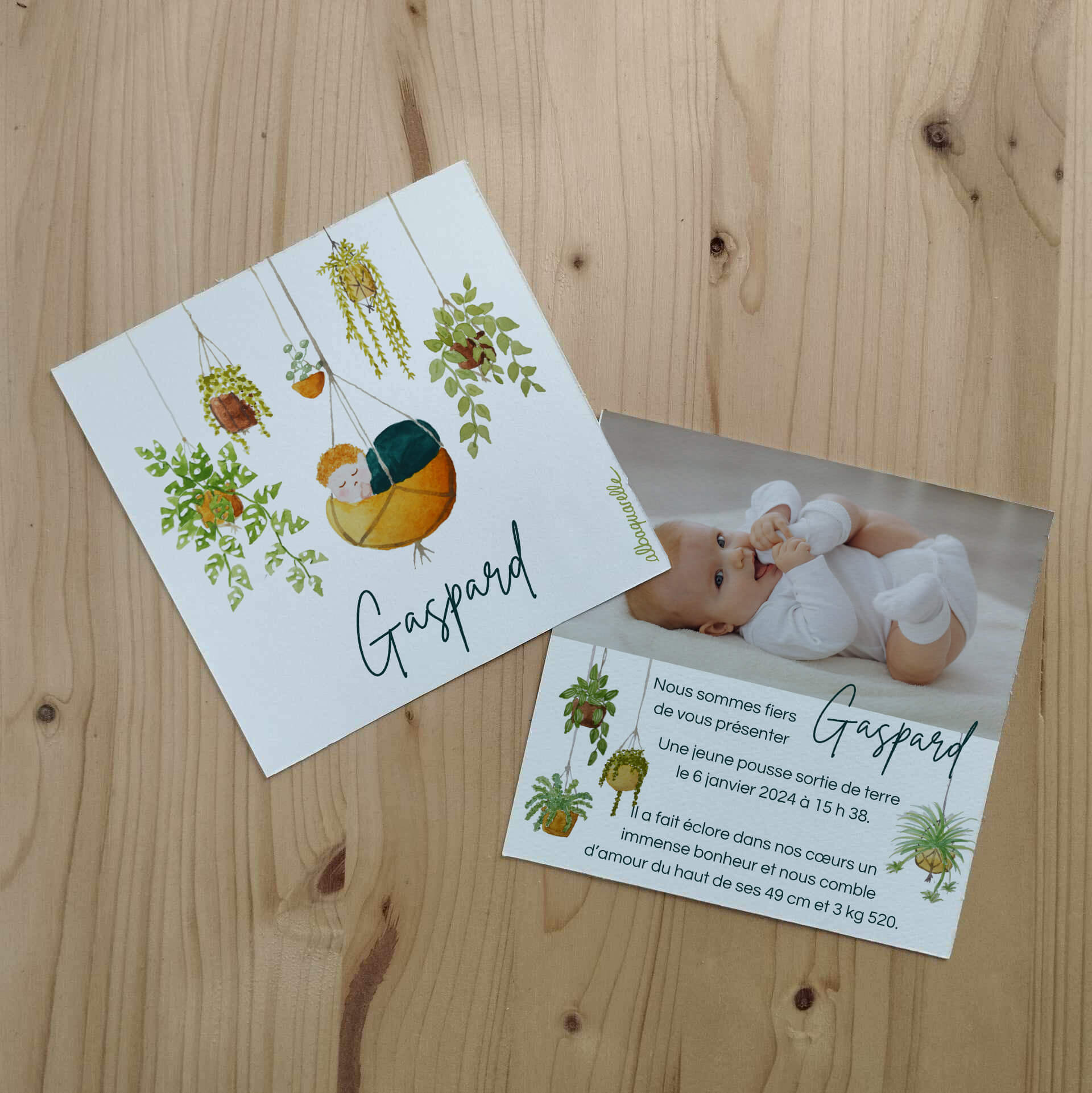 Faire part mixte illustré à l'aquarelle avec un bébé dans une panier et des plantes vertes suspendues
