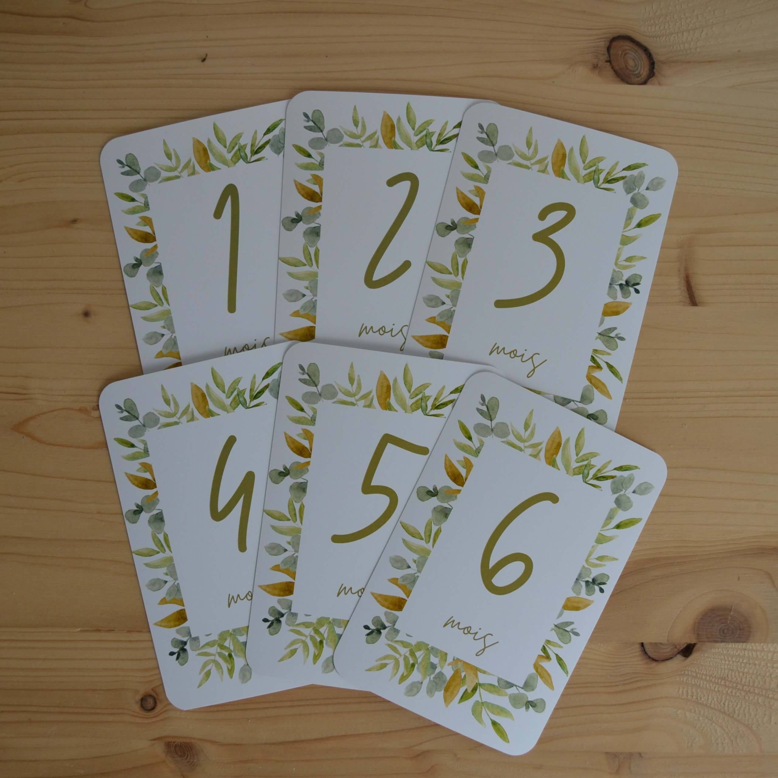 Cartes étapes végétales – Image 2