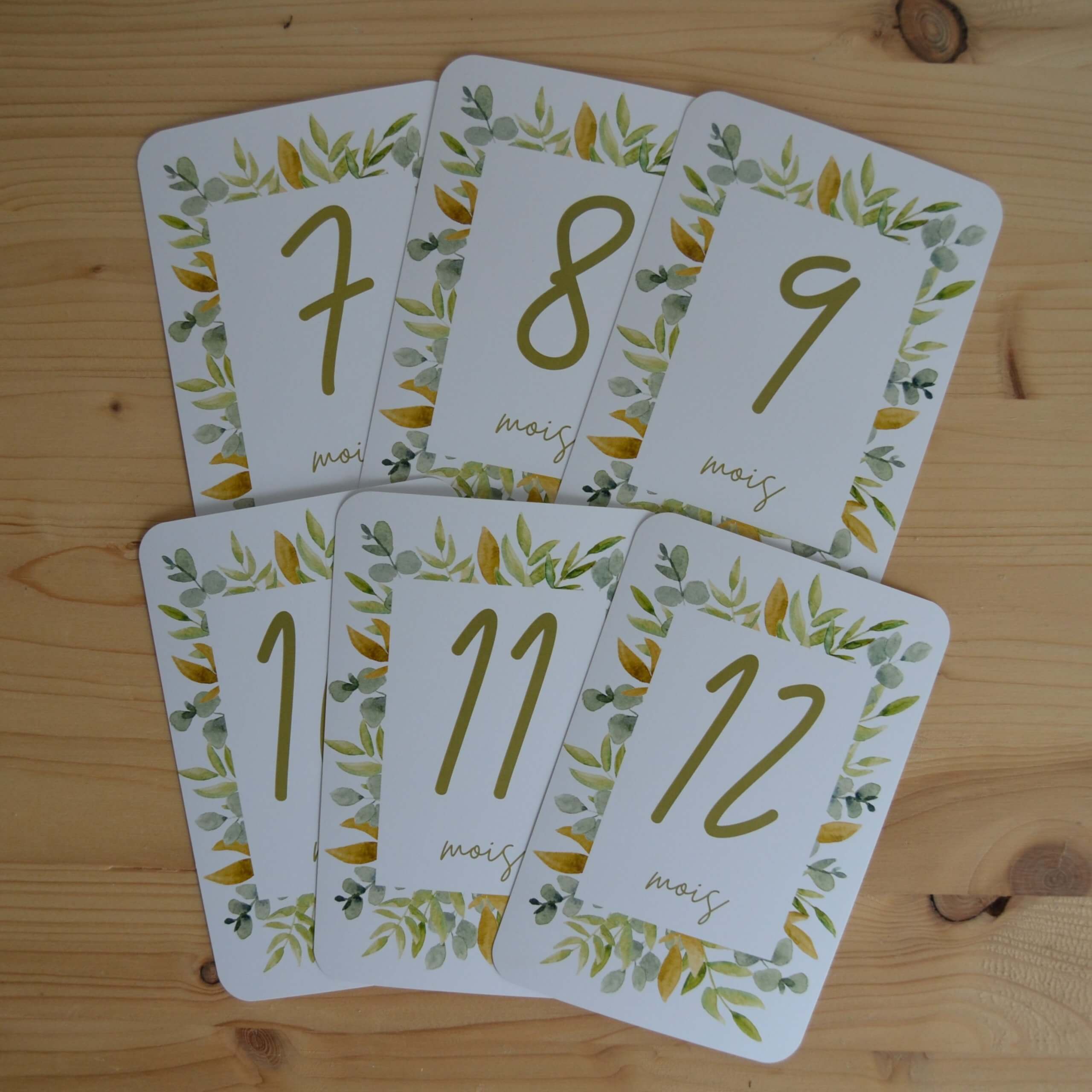 Cartes étapes végétales – Image 3