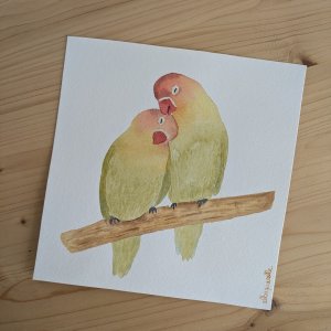 Aquarelle les Inséparables